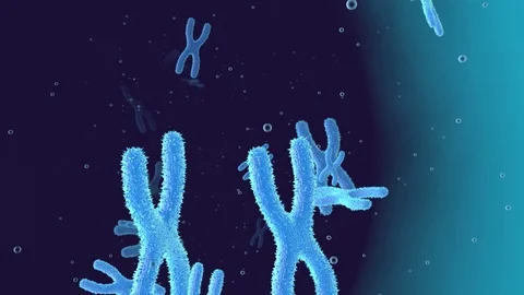 Animation of floating Chromosomes Stock Footage 81813489