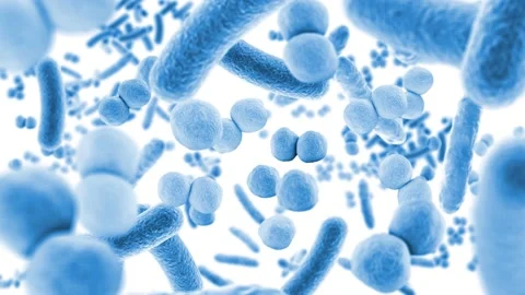 Animation floating through blue microbes, healthy microbiome Video stock 137277704