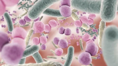 Animation floating through good microbes in the intestine, healthy microbiome Stock Footage 137277678