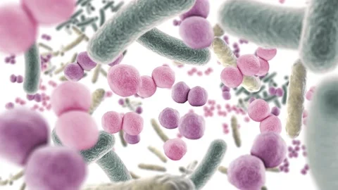 Animation floating through good microbes in the intestine, healthy microbiome Stock Footage 137277699