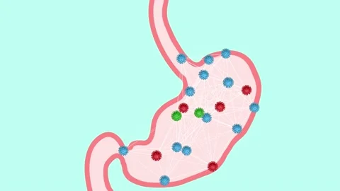 Animation floating through good microbes in the intestine, healthy microbiome Stock Footage 224486025