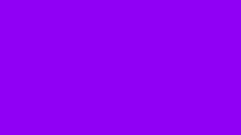 Animation of a flock of bats on a purple screen. Video transition with bats in Stock Footage 292687871
