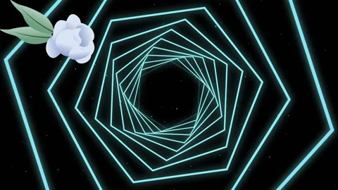 Animation of flower and mint linear hexagons rotating on black background Stock Footage 329985683