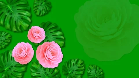 Animation of flowers. Stock Footage 135897533