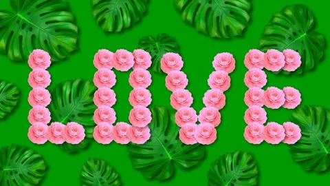 Animation of flowers. Stock Footage 135897552