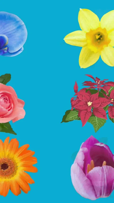 Animation of flowers moving in hypnotic motion on blue background Stock Footage 341918116