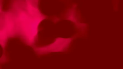 Animation with flowing globules or cells, like blood plasma. Seamless loop… Stock Footage 152135123