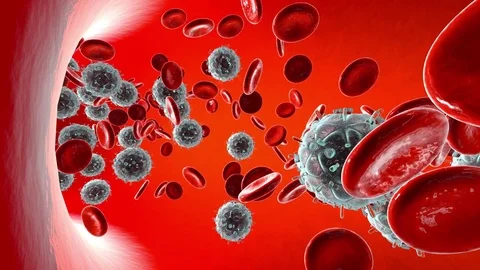 Animation of flowing HIV Viruses Stock-Footage 71462364