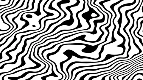 Animation of fluid texture of zebras. Abstract distorted wavy stripes Stock Footage 264001655