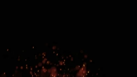 Animation of flying particles. Fire sparkles. Glowing dust Stock Footage 112194859