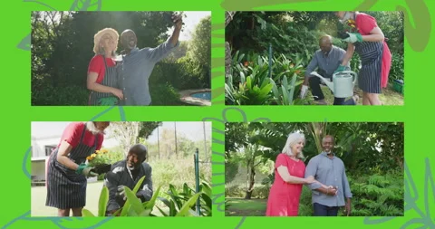 Animation of four frames with happy senior diverse couple in garden on green Stock Footage 310434620