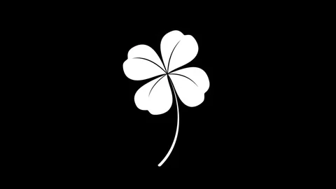Animation of four leaf clover on black background. Stock Footage 337446544