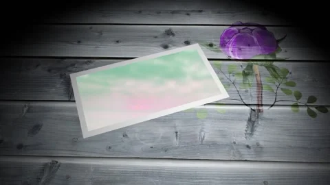 Animation of frame with green image lying on wooden surface with flower Stock Footage 326626471