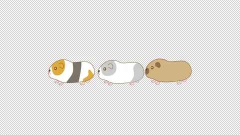Animation frame of guinea pigs walking in a line Stock Footage 313099064