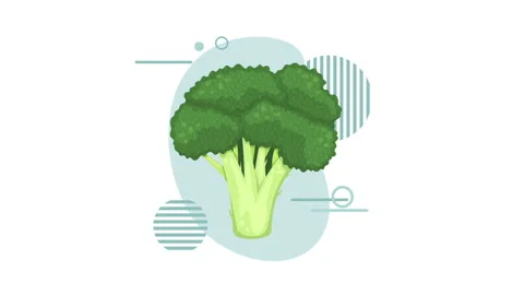Animation with fresh broccoli. Healthy vegetables. Stock Footage 219045489