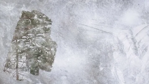 Animation with frosted window, snow Vídeos de archivo 81598982