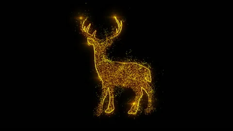 Animation of glittering particles form a Deer Stock Footage 171000486