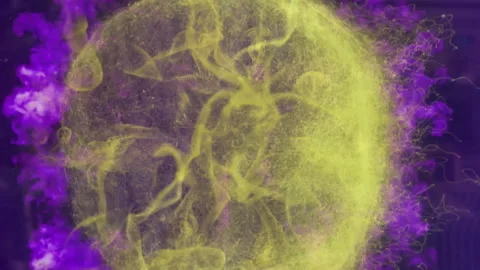 Animation of globe with network of connections over binary coding Stock Footage 312547758