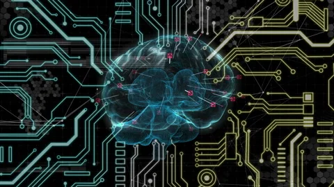 Animation of glowing human brain with digital interface computer circuitboard Stock Footage 143904838