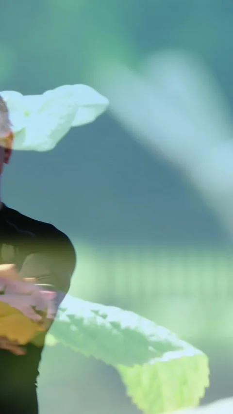 Animation of glowing light over smiling senior couple dancing over plants Vídeo Stock 342136283