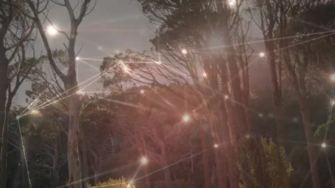 Animation of glowing lights and lines forming network pattern over forest Stock Footage 330288259