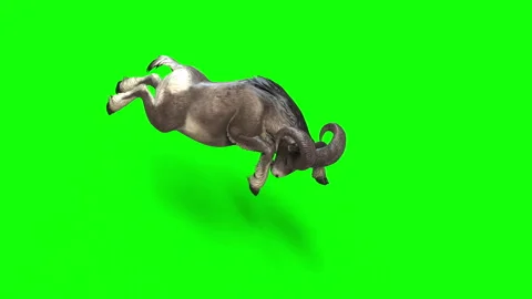Animation of Goat Vídeo Stock 294753536