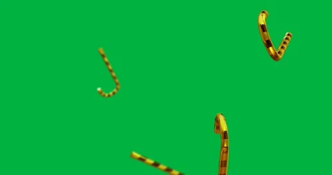 Animation of gold candy canes falling over transparent background Stock Footage 318202627