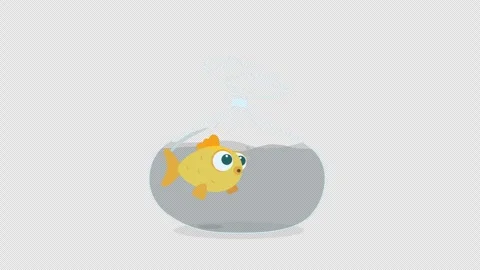 Animation of a goldfish in a plastic bag on a transparent background. Animation Stock Footage 310501035