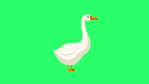 Animation goose on green background. Stock Footage 260531959