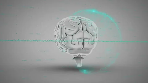 Animation of graph and globe over rotating human brain against gray background Stock Footage 315644492