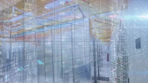 Animation of graphs and charts with programing codes, globe over computer server Stock Footage 327956302