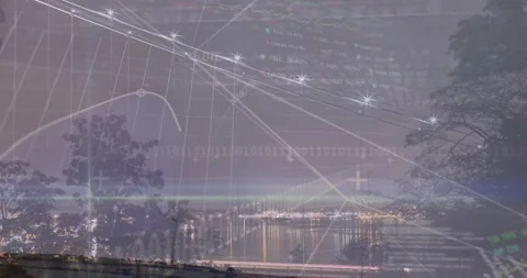 Animation of graphs, trading board, binary codes, computer language over trees Stock Footage 233302242