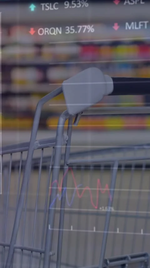 Animation of graphs, trading boards and loading circles over shopping cart in Stock Footage 344012024