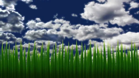 Animation of grass against the sky. Stock Footage 135580803