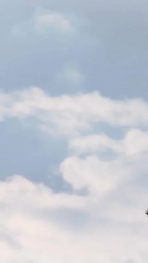 Animation of gray sculpture of cupid over blue sky and clouds, copy space Stock Footage 342643481