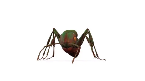 Animation of a green ant seen from the front Stock Footage 133370496