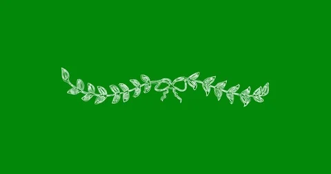 Animation on a green background. Green background for chromakey. Stock Footage 100057483