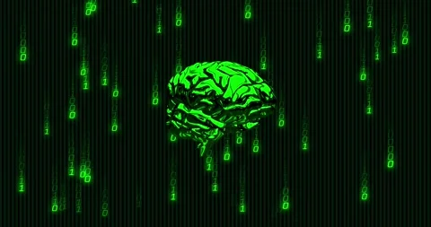 Animation of green binary coding data processing over glowing green human brain Stock Footage 330782713