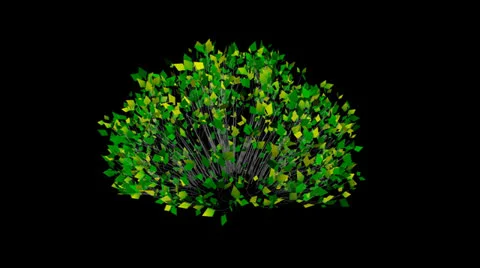 Animation green bush Stock Footage 22676892