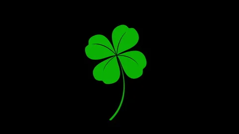 Animation of green four leaf clover isolated on black background. Stock Footage 337415629