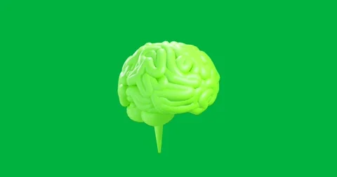 Animation of green human brain spinning on transparent background Stock Footage 317925512