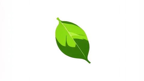Animation of green leaf icon isolated on white background Video stock 287340911
