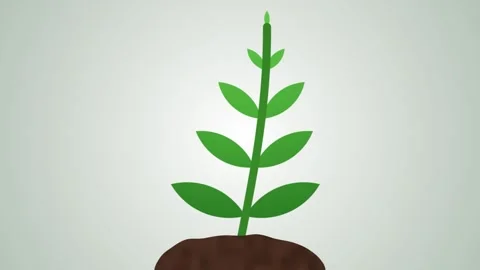 Animation of a green plant sprouting from soil and growing before retracting on Stock Footage 338410359