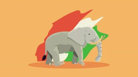 Animation of grey african elephant standing in front of abstract colorful b.. Stock Footage 339264200