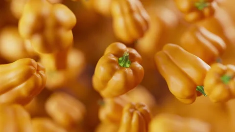 Animation of a group of bell pepper. Defocus. Close-up. Stock Footage 308074323