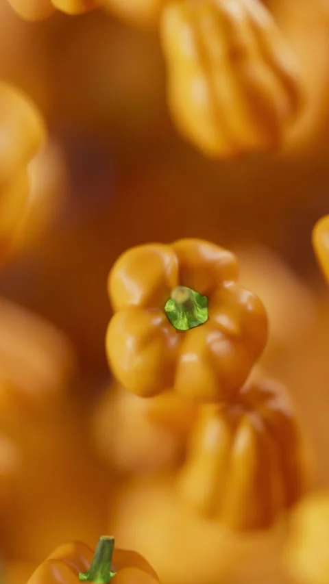 Animation of a group of bell pepper. Defocus. Close-up. Stock Footage 315521523