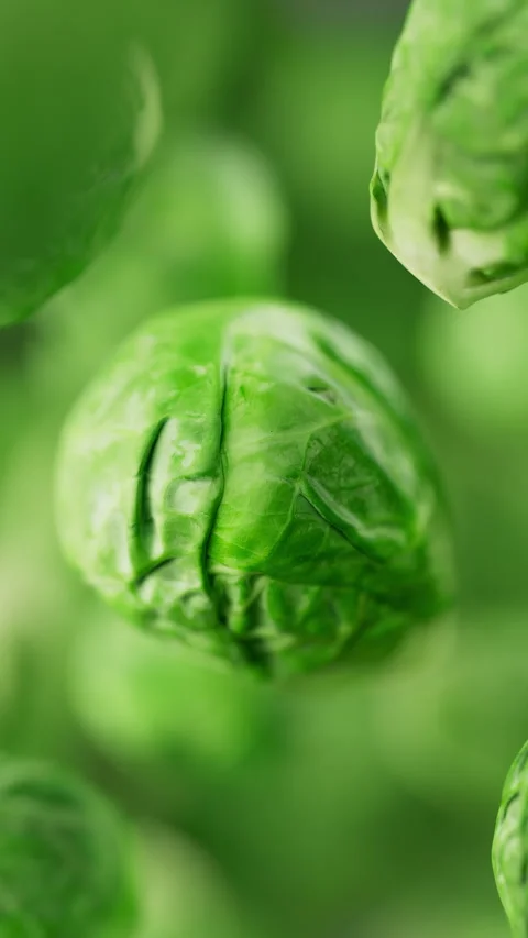 Animation of a group of brussels sprouts. Defocus. Close-up. Stock Footage 308738482