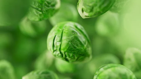 Animation of a group of brussels sprouts. Defocus. Close-up. Stock Footage 309333927