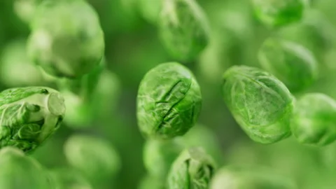 Animation of a group of brussels sprouts. Defocus. Close-up. Video stock 312108604