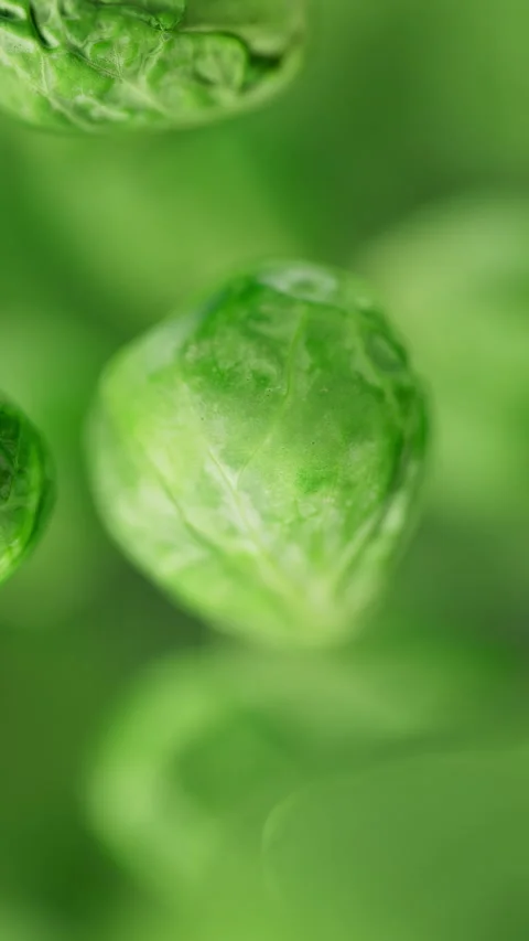 Animation of a group of brussels sprouts. Defocus. Close-up. Video stock 312108720